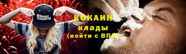 дживик Пестово