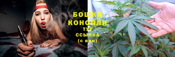 Альфа ПВП Пересвет