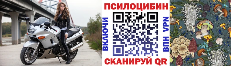 где продают   Инсар  Псилоцибиновые грибы мухоморы 