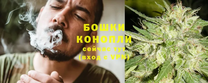 mega ссылка  дарк нет состав  Инсар  Шишки марихуана SATIVA & INDICA  продажа наркотиков 